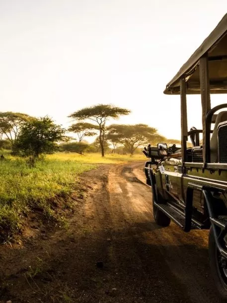 dREAMSCAPE_Website_Experiences_South-Africa-Journey_Left-side-main-image-for-overview