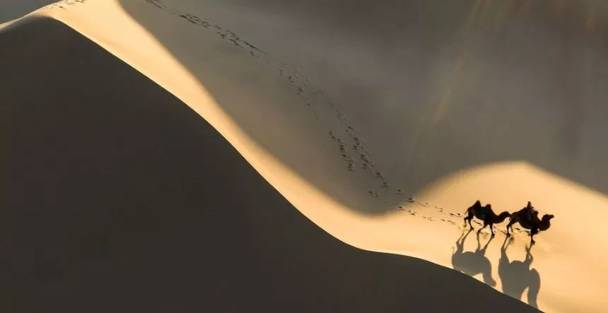 06_dREAMSCAPE_Website_Experiences_Explore-Mongolia-Naadam-Festival_Itinerary-Image